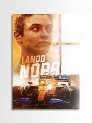 Lando Norris 2019