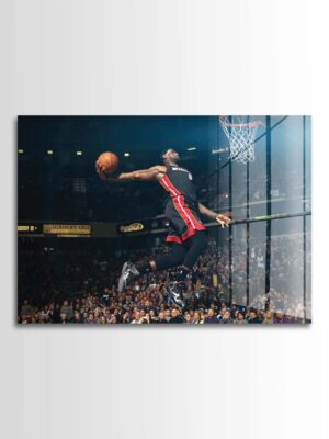 Lebron James x Miami Heat