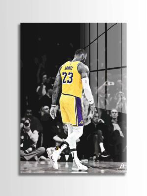 Lebron James x LA Lakers