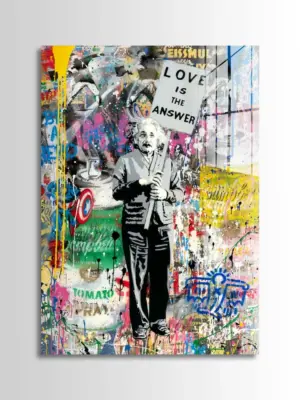 Mr Brainwash