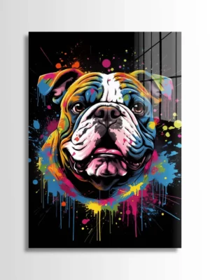 Easy Going English Bulldog