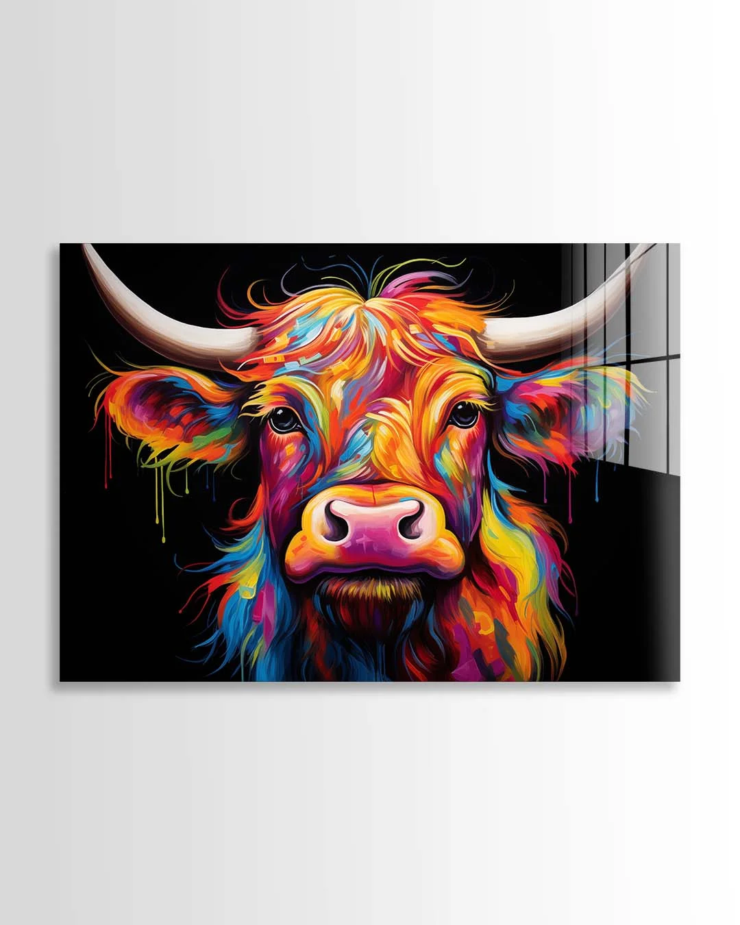 Highlands Cow