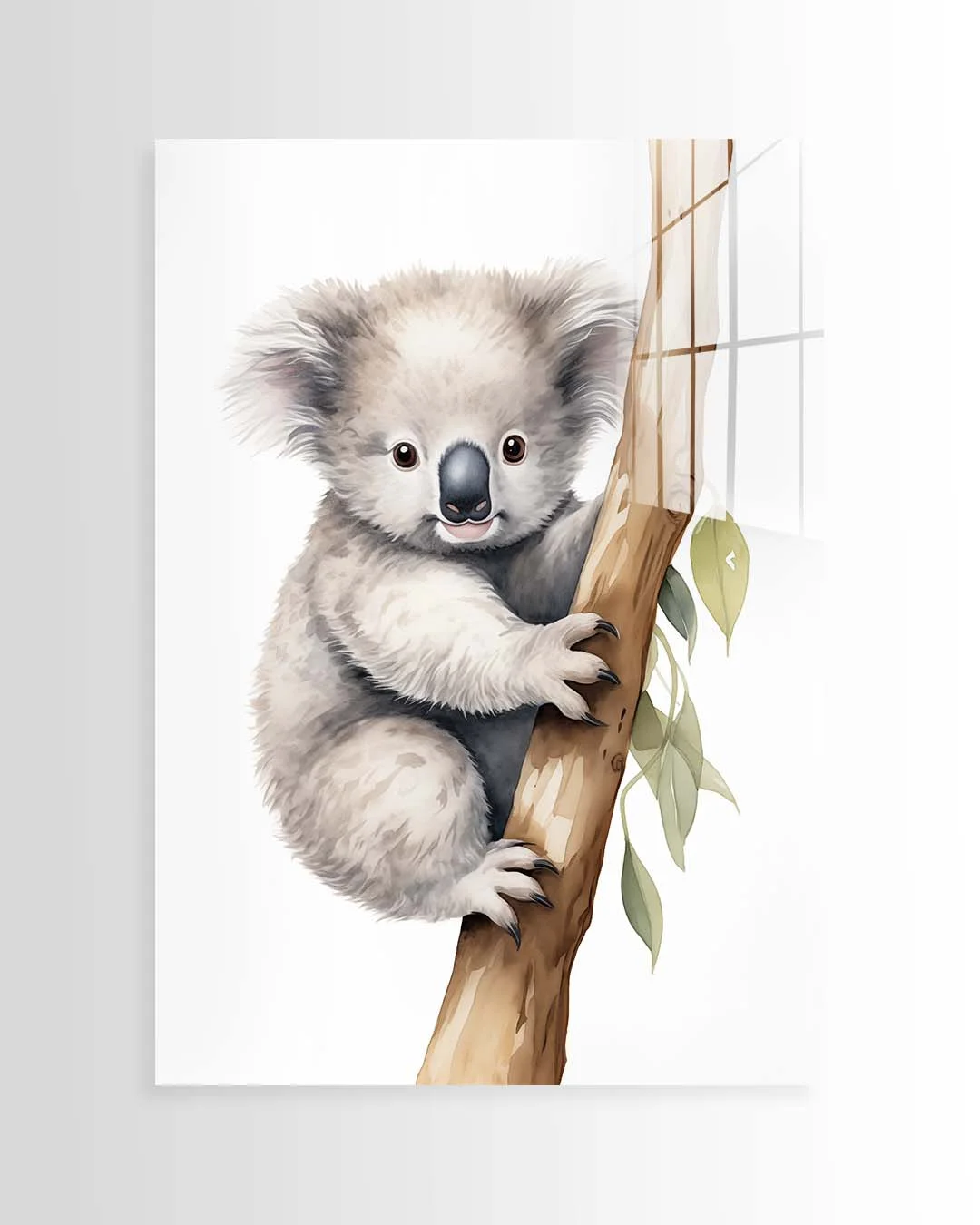 Koala Joey