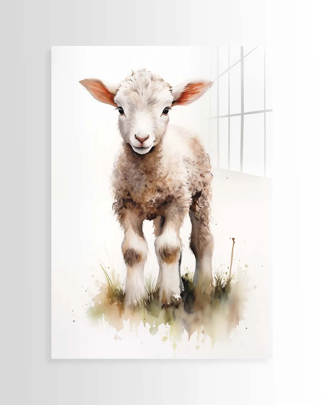 Baby Lamb