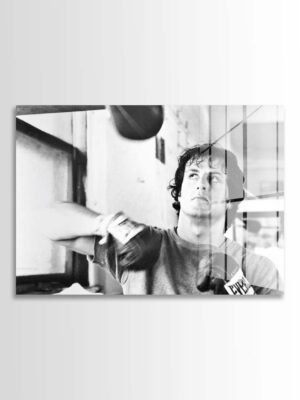 Sylvester Stallone x Rocky