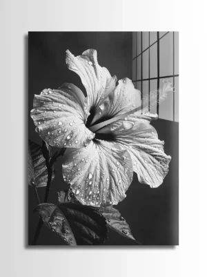 Wet Hibiscus