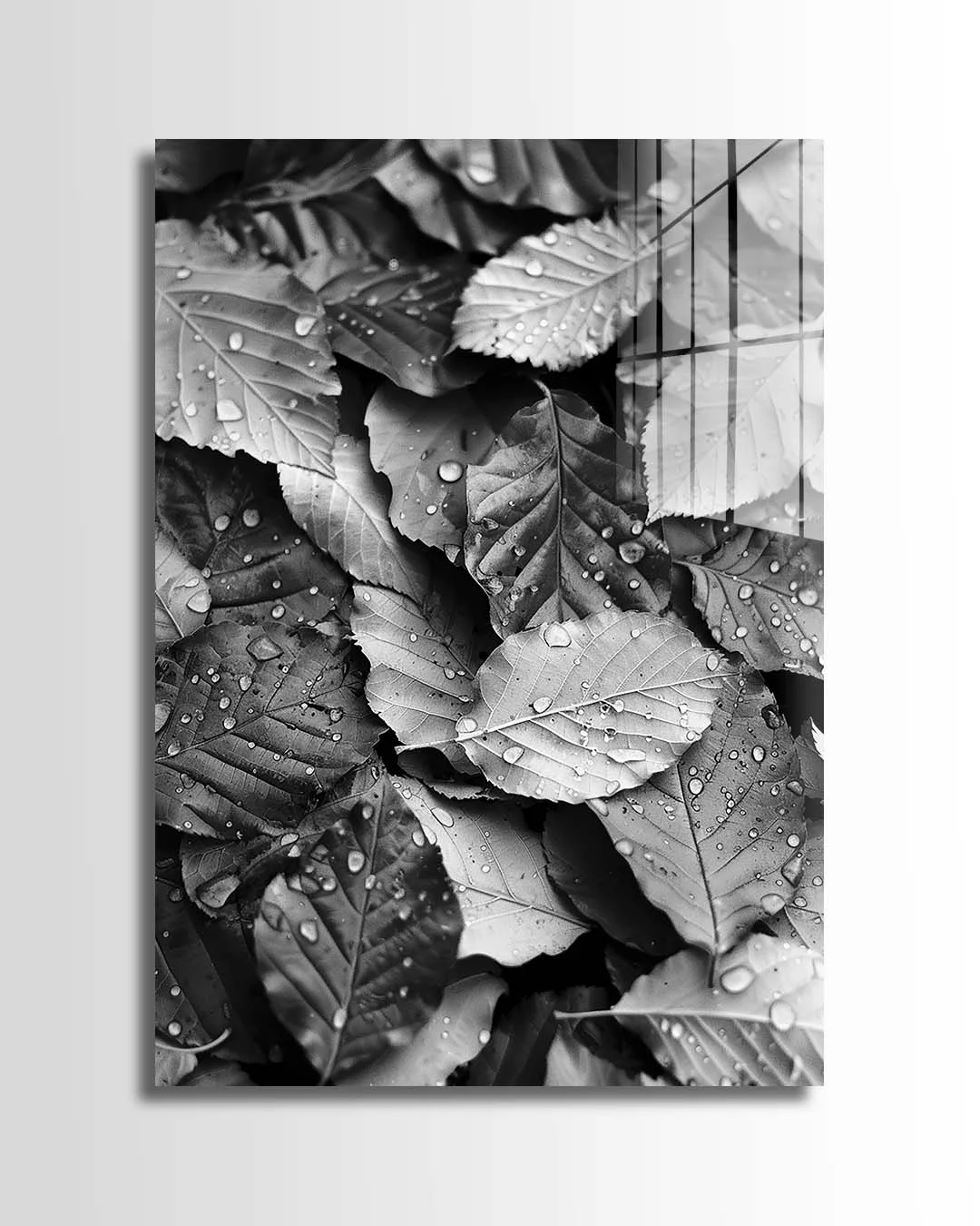 Wet Leaves