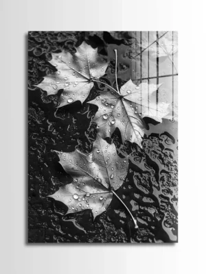 Wet Maple Leaves