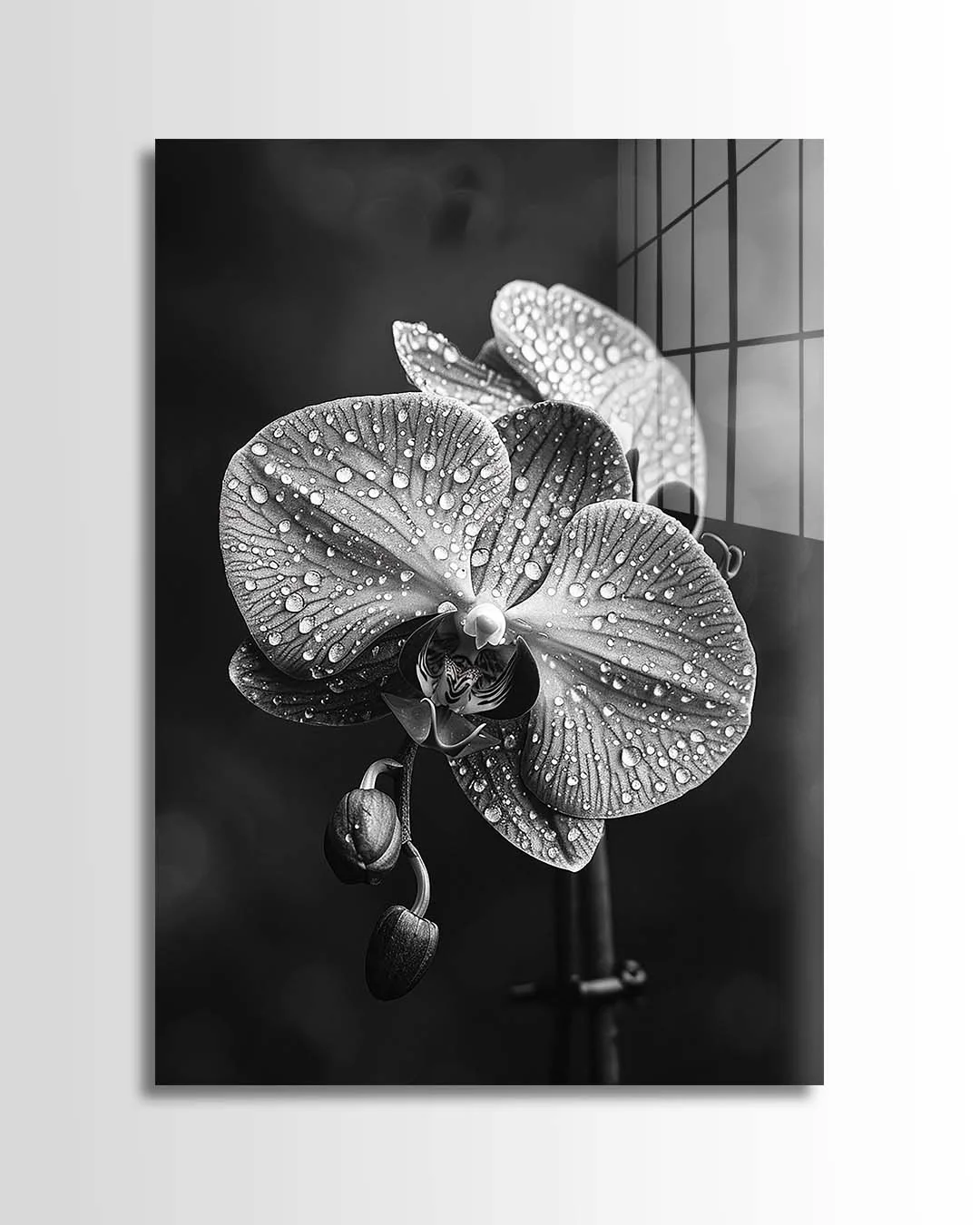 Wet Orchid