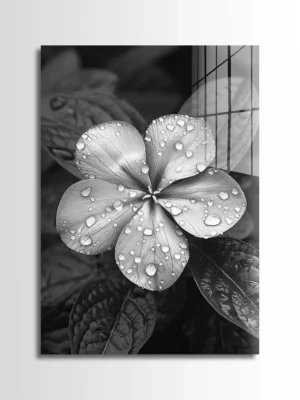 Wet Periwinkle