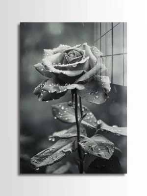 Wet Rose