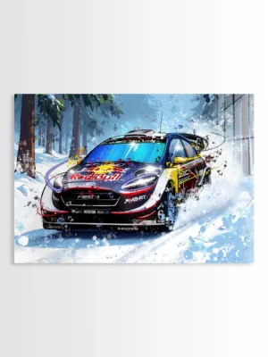 Ford Fiesta Red Bull WRC