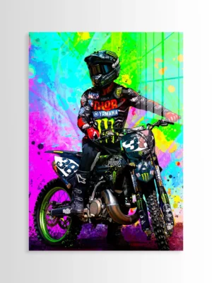 Brian Deegan MX