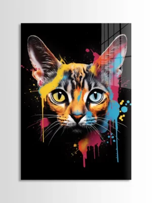 Abyssinian