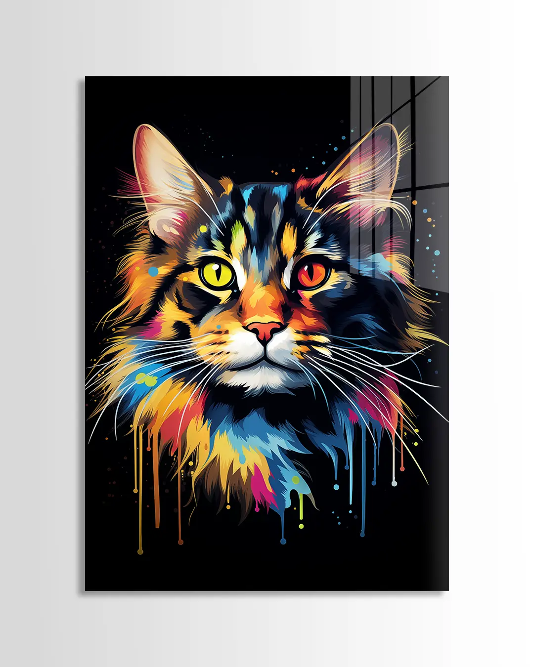 Main Coon